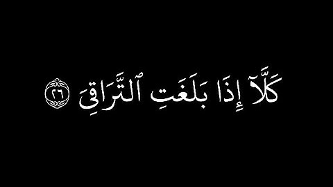 كروما قران شاشة سوداء | بندر بليلة من سورة القيامة | كَلَّآ إِذَا بَلَغَتِ ٱلتَّرَاقِيَ