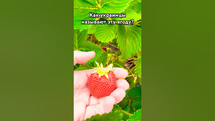 Как отлечить паляницю от полуниці? Только истинный украинец знает. Русскому не под силу произнести