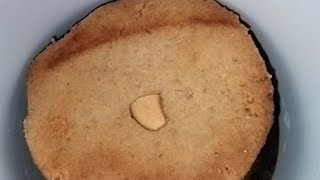homemade butter biscuit? recipe in tamil /easy& healthy snacks snacksrecipe helathy wheatbiscuits