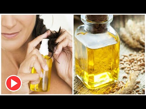 5 Ways Wheat Germ Oil Helps Your