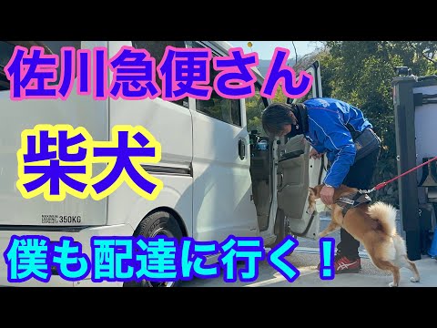 佐川急便さん、僕も配達に行く!【柴犬 】