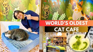 World&#39;s First Cat Cafe is in Taipei! | Taiwan Travel Vlog