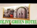 Оlive Green Hotel. Рум Тур. Городской отель, Греция, Ираклион, остров Крит. Обзор отелей на Крите