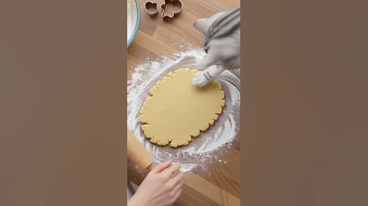 Video 11809161: american shorthair cat kitten, shorthair cat cutecat, shorthair cat meowing, shorthair funnycat, catlife cutecats funnycats catlove