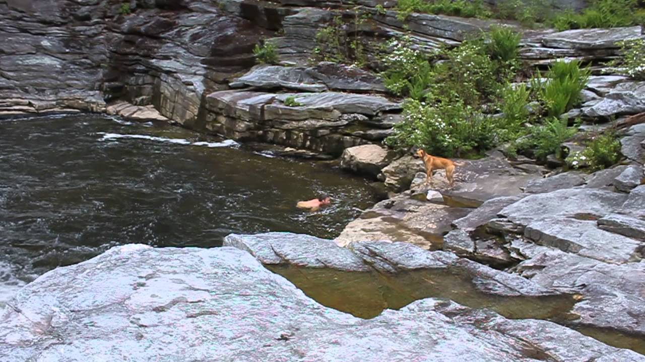 Cliff Jumping Linville YouTube