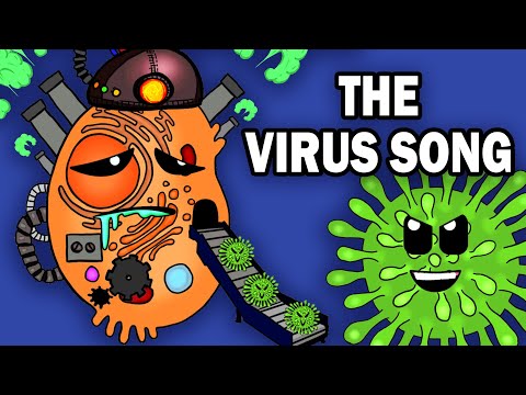 VIRUS Structure and Life Cycle SONG