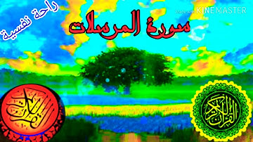 #القرآن_الكريم.                                             من سورة المرسلات الى سورة المطفّفين 🌺💚