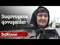 Suqovuşana illər sonra qovuşanlar - Baku TV