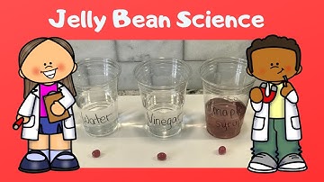 Jelly Bean  Science Experiment - A Guide for Parents and Teachers