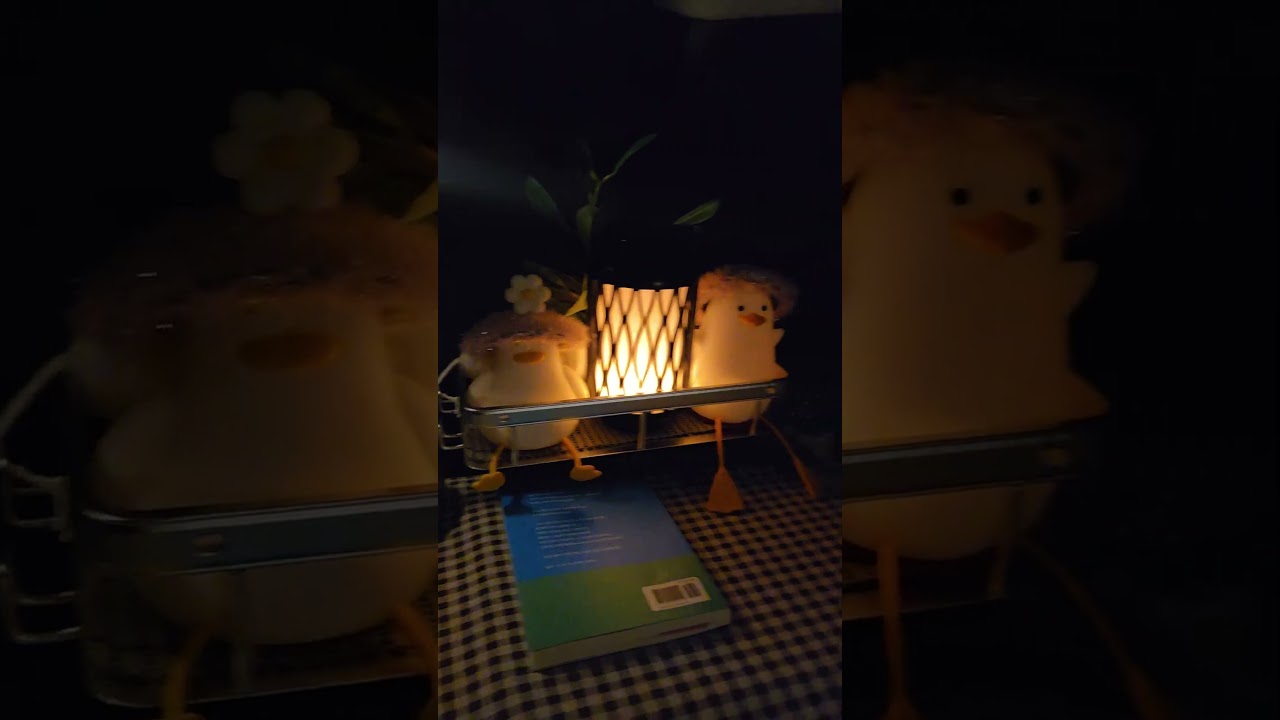 가을 차박/저녁되니  쌀쌀합니다  따뜻한  이불  잘 챙겨 왔네요