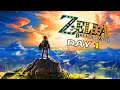 SURVIVING BREATH OF THE WILD...