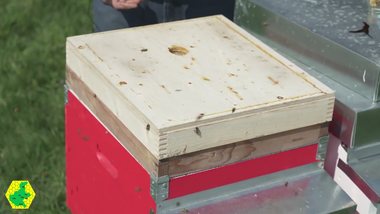 Corso Apicoltura 2021 pratica 3^ parte