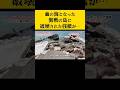 【太平洋戦争】この歴史を知ってますか？