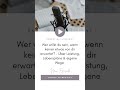 Wer willst du sein, wenn keiner etwas von dir erwartet Über Leistung, Lebenspläne und eigene Wege