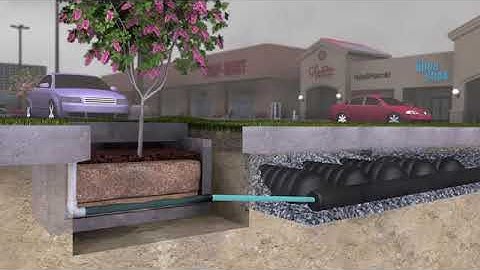 Filterra Bioretention System Contech Engineered Solutions