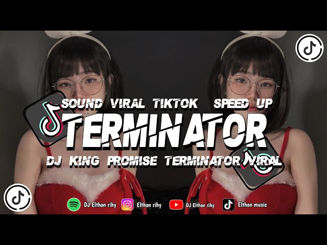DJ TERMINATOR KING PROMISE VIRAL TIKTOK BY ELTHON RIHY💤 class=