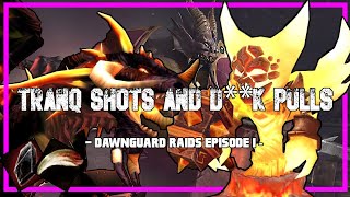 Wow Classic: Tranq Shots and D**k pulls
