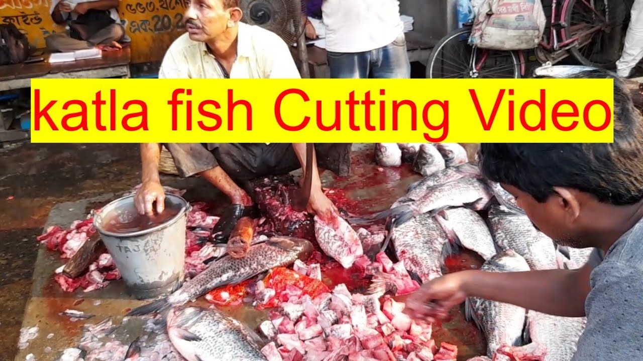 Big Katla fish Cutting Video Mastering the Art of Fish Cutting A