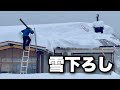 雪下ろしのある生活|豪雪地帯での暮らし|猫のマサの様子もお楽しみ下さい。