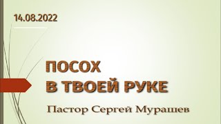 Посох в твоей руке (14.08.2022)