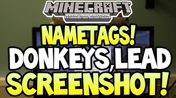 Minecraft (Xbox360/PS3) - TU19 UPDATE! - NAMETAGS, DONKEYS, LEAD + MORE! SCREENSHOT!!