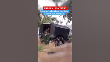 Indian Army rescue mission during flood in Punjab #shorts #indianarmy #flood #punjabflood #rescue