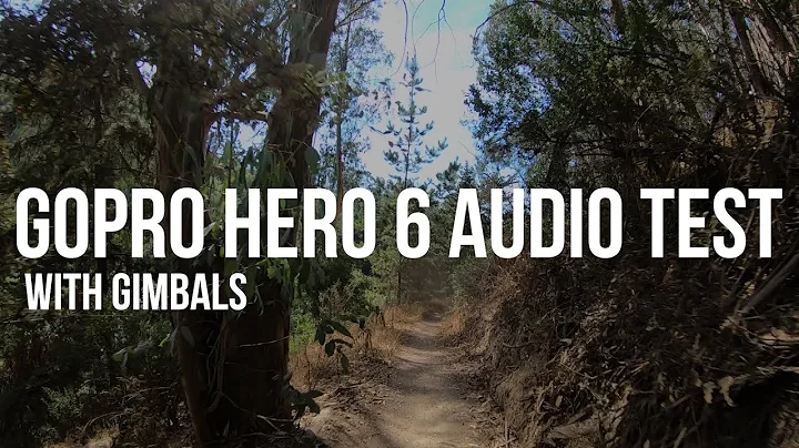 GoPro Hero 6 gimbal audio test and comparison // Evo SS //  Karma Grip  // Hero 4
