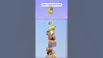 Capybara goes for the sky!