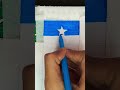 Drawing Flag Of Somalia What S Next Shorts Art