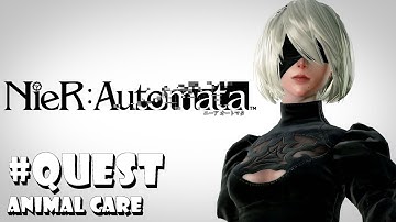 Nier Automata - Quest (With 2B) - Animal Care (gameplay) [1080p 60fps]