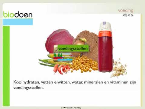voedingsmiddelen en voedingsstoffen