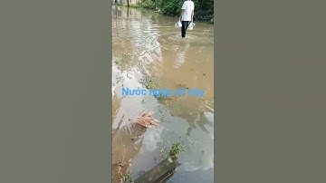 cần Thơ nước ngập quá mọi người ơi #cantho #ngậplụt