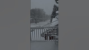 ما أجملها من تلاوه تريح القلب ويطمئن لها البال الشيخ ماهر المعيقلي - أرح سمعك وقلبك بذكر الله