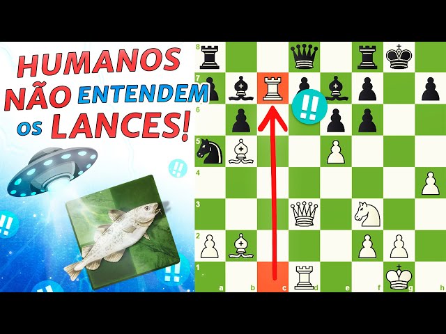 Exame Informática Chess.com: O maior site de xadrez do mundo não