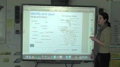 SMART Board - Level 1 - 4d - Identify and Label