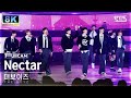 [초고화질 8K] 더보이즈 &#39;Nectar&#39; (THE BOYZ FullCam)│@SBS Inkigayo 240331