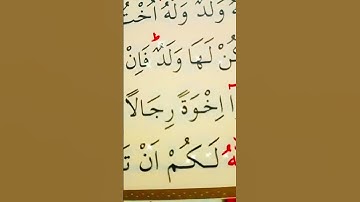 سورة النساء الأية 176 القارئ سعد الغامدي