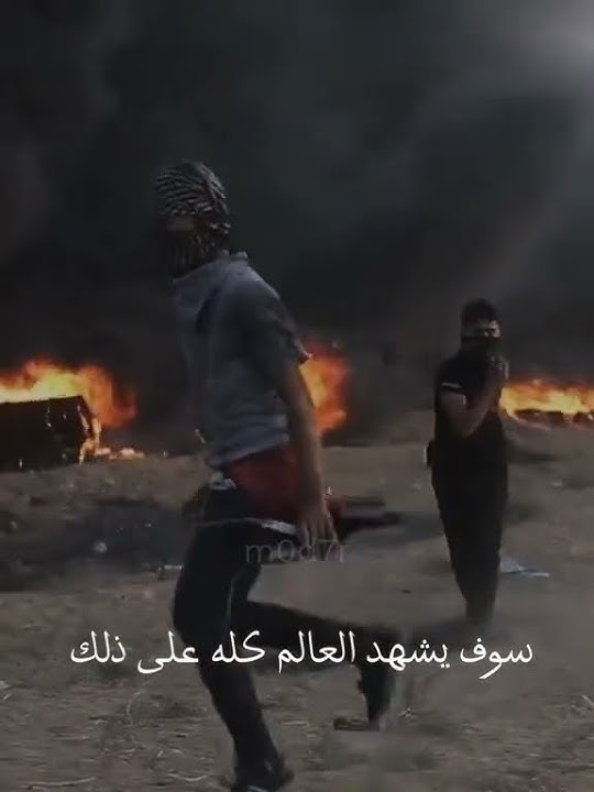 leve palestina π΅πΈπ΅πΈ