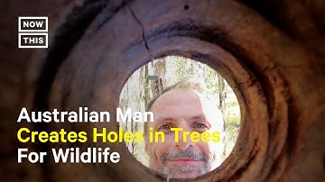 Australian Man Creates Device That Makes Holes in Trees For Wildlife