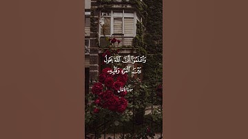 تلاوة طيبة للقارئ ماجد الزامل#quran