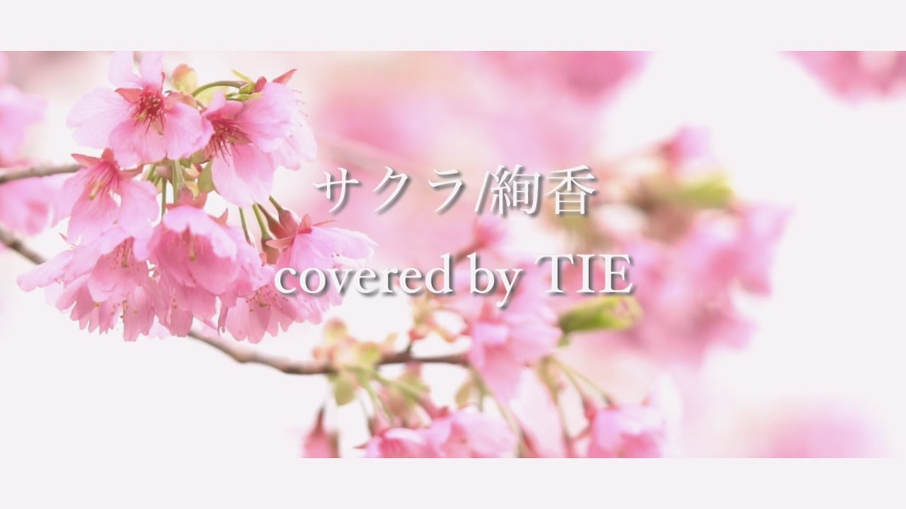 サクラ/絢香(cover) YouTube