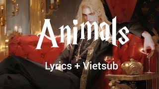 Animals - Maroon 5 | Lyrics + Vietsub