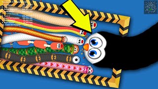 Worms Zone Map Control 100% (Penguin Skin) screenshot 3