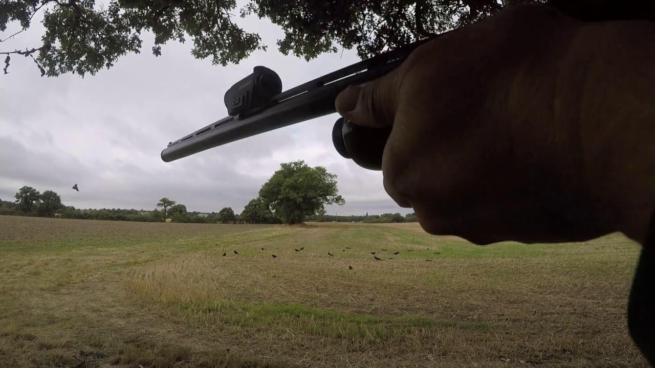 Crow Shooting- Aimpoint Micro S1 and Aim Cam pro 2