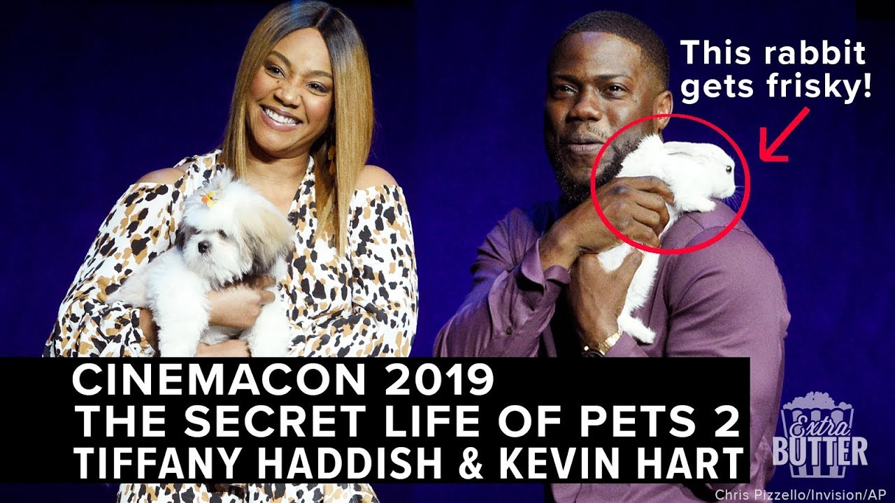 Bunny gets frisky with Kevin Hart | The Secret Life of Pets 2 | Extra Butter