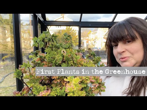 Video: Ako premiestniť skleník – tipy na premiestnenie skleníka na nové miesto