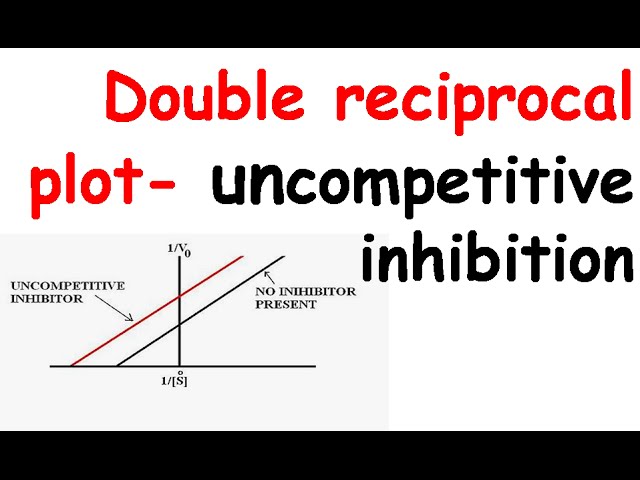 Uncompetitive Inhibition Lineweaver Burk Plot