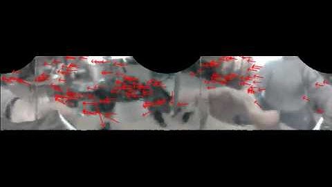 Optical flow in omnidirectional vision using Shi and Tomasi features