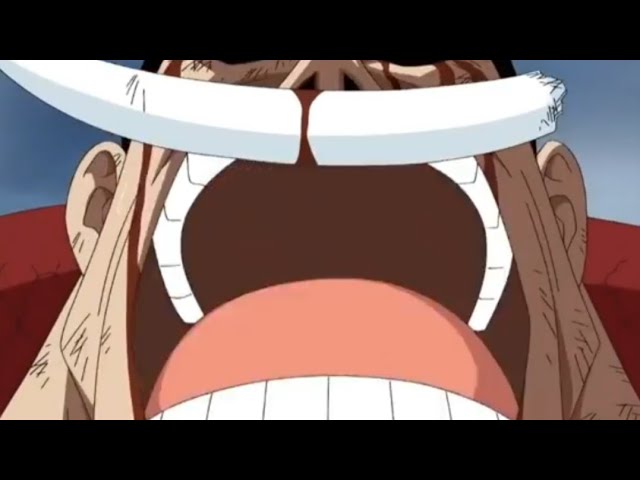 THE ONE PIECE IS REAL!!! (Can we get much higher so high) (MEME) - YouTube