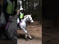 ASMR HORSE CANTERING Hooves 